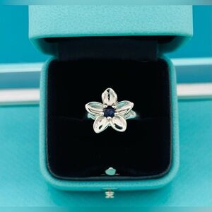 Tiffany & Co SS Retired Iolite Flower Ring Size 7.5